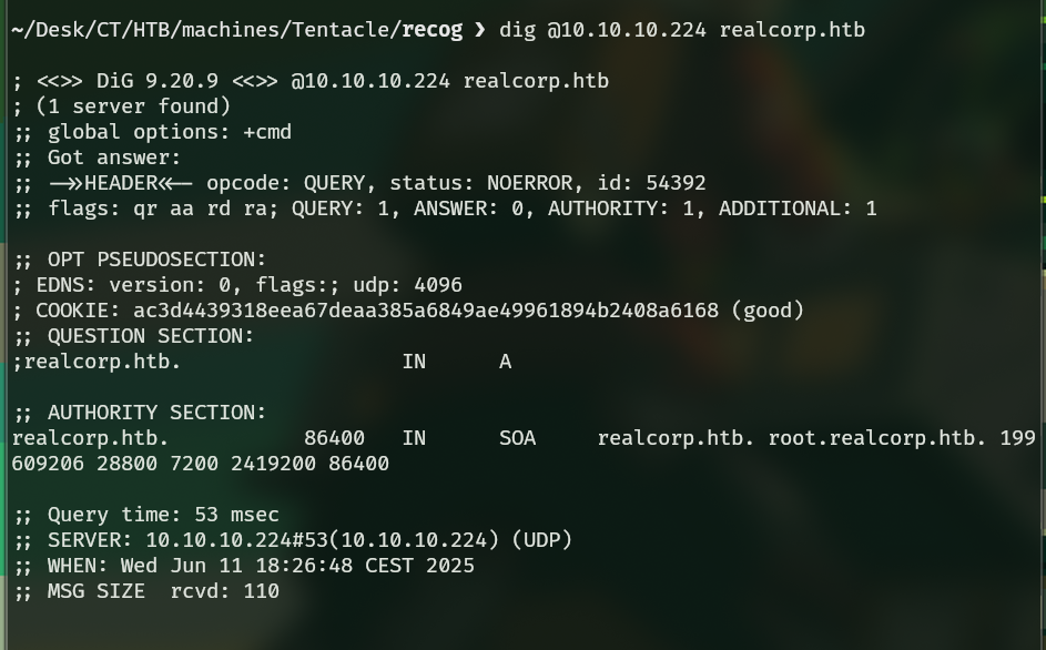 Consulta dns estándar.