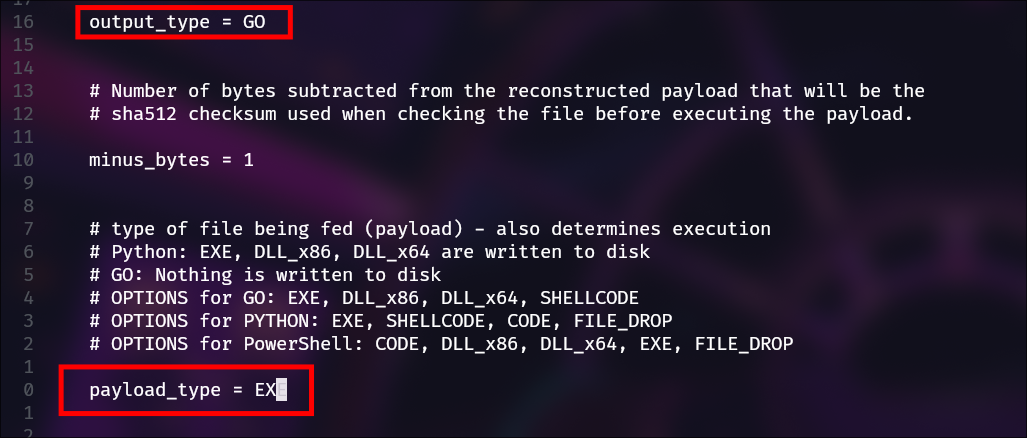 Modificación de la variable output_type y payload_type.